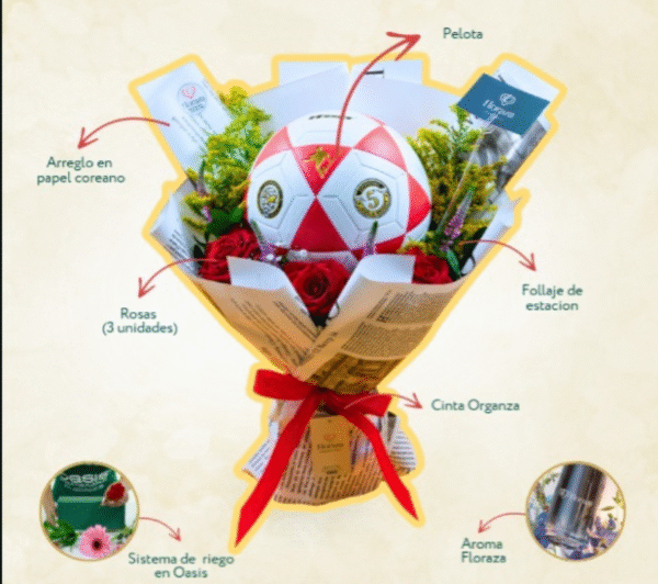ball cactus